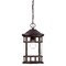 Homeroots 15.25 x 8.75 x 8.75 in. Vista II 1-Light Architectural Bronze Hanging Light 397974 - alternate 1